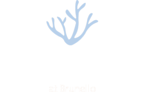 Nordik-Spa-at-Brunello-Logo-Light